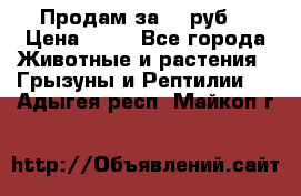 Продам за 50 руб. › Цена ­ 50 - Все города Животные и растения » Грызуны и Рептилии   . Адыгея респ.,Майкоп г.